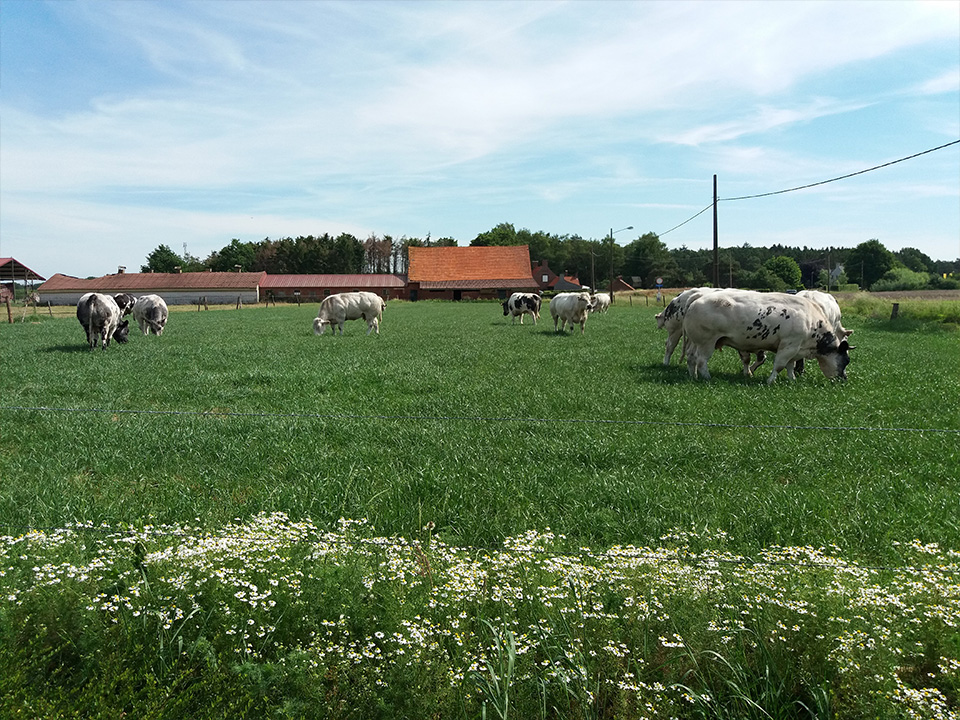 Natuurvlees De Vleeshoeve